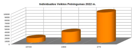 INDIVIDUALIOS VEIKLOS PELNINGUMAS 2022 m.